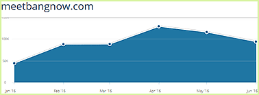 Meetbangnow.com statistics