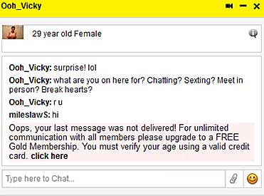 Members-Dating.com fake chat message